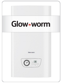 glowworm